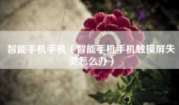 智能手机手机（智能手机手机触摸屏失灵怎么办）