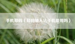 手机郑码（郑码输入法手机能用吗）