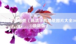 高清手机墙纸（高清手机墙纸图片大全2023最新版）