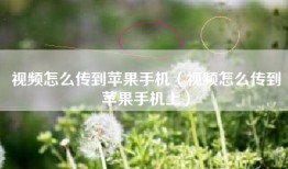 视频怎么传到苹果手机（视频怎么传到苹果手机上）