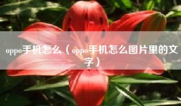 oppo手机怎么（oppo手机怎么图片里的文字）