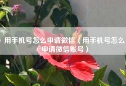 用手机号怎么申请微信（用手机号怎么申请微信账号）