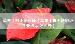 苹果手机无法验证（苹果手机无法验证企业级app怎么办）