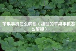 苹果手机怎么解锁（被锁的苹果手机怎么解锁）