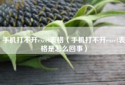 手机打不开excel表格（手机打不开excel表格是怎么回事）