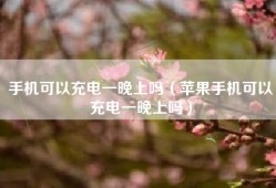 手机可以充电一晚上吗（苹果手机可以充电一晚上吗）