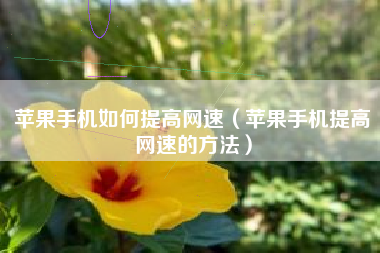 苹果手机如何提高网速（苹果手机提高网速的方法）