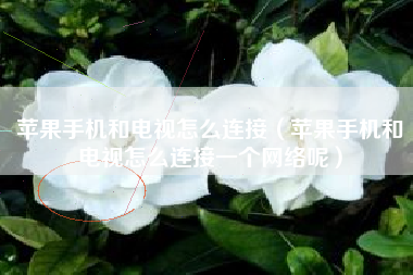 苹果手机和电视怎么连接（苹果手机和电视怎么连接一个网络呢）