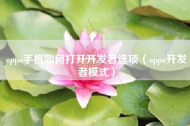 oppo手机如何打开开发者选项（oppo开发者模式）